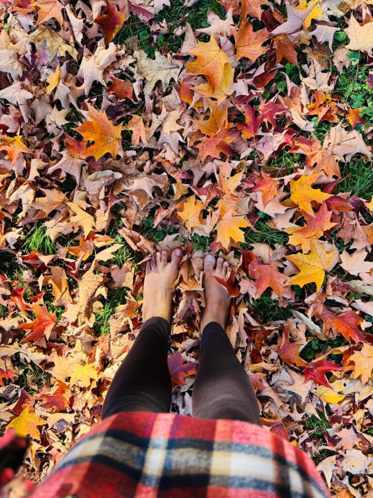 PHOTO-2025-12-15-02-04-30